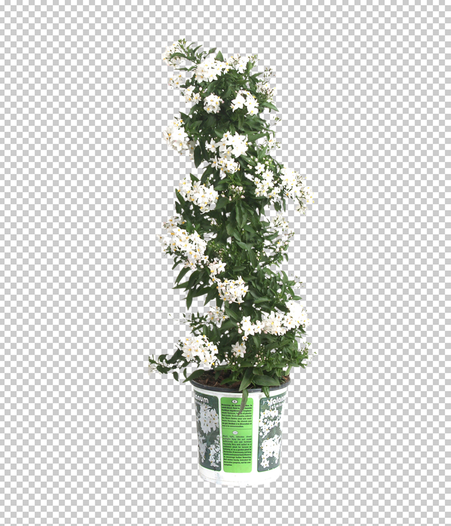 super complex background remove